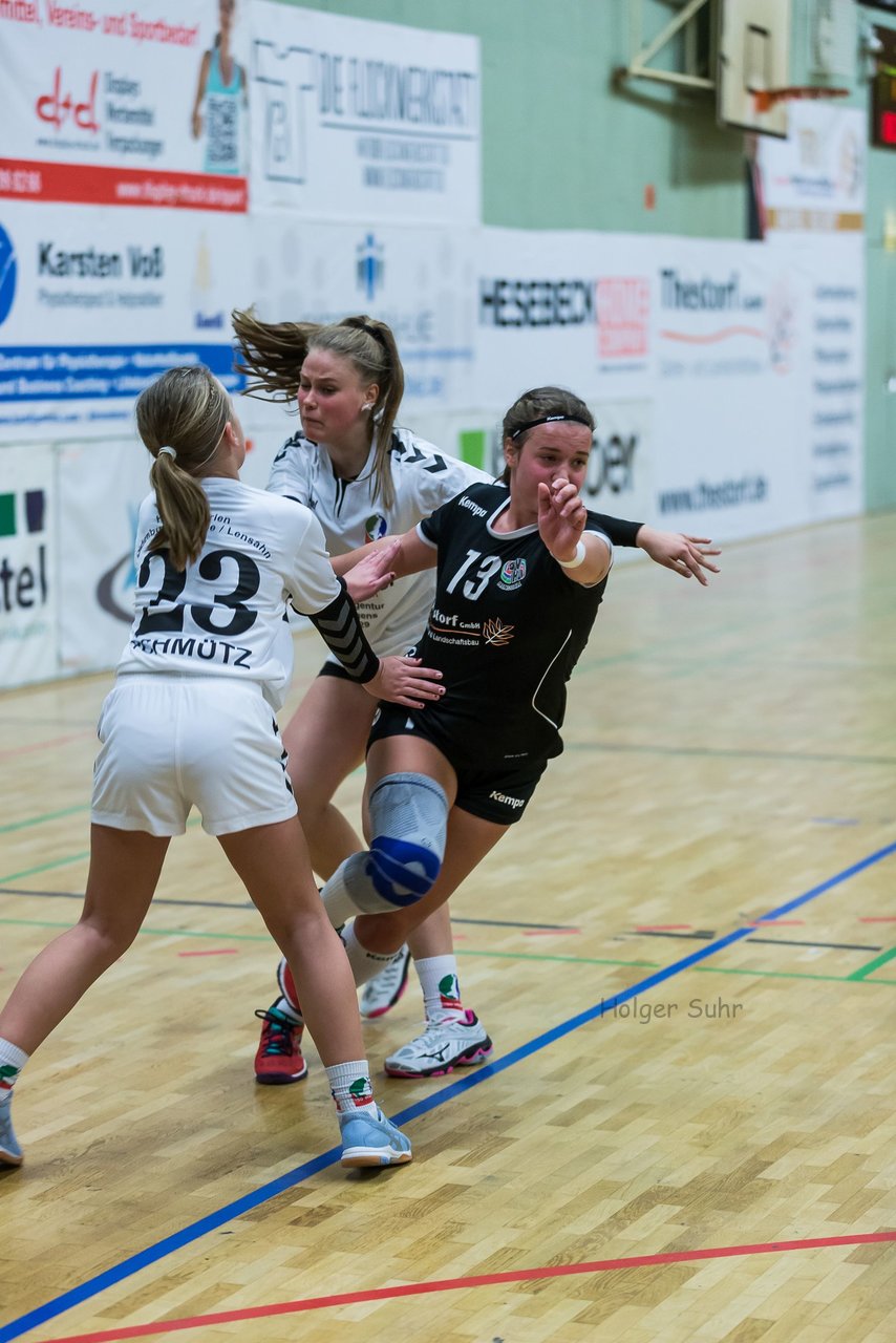 Bild 101 - C-Juniorinnen SVHU - HSD Wagrien : Ergebnis: 30:15